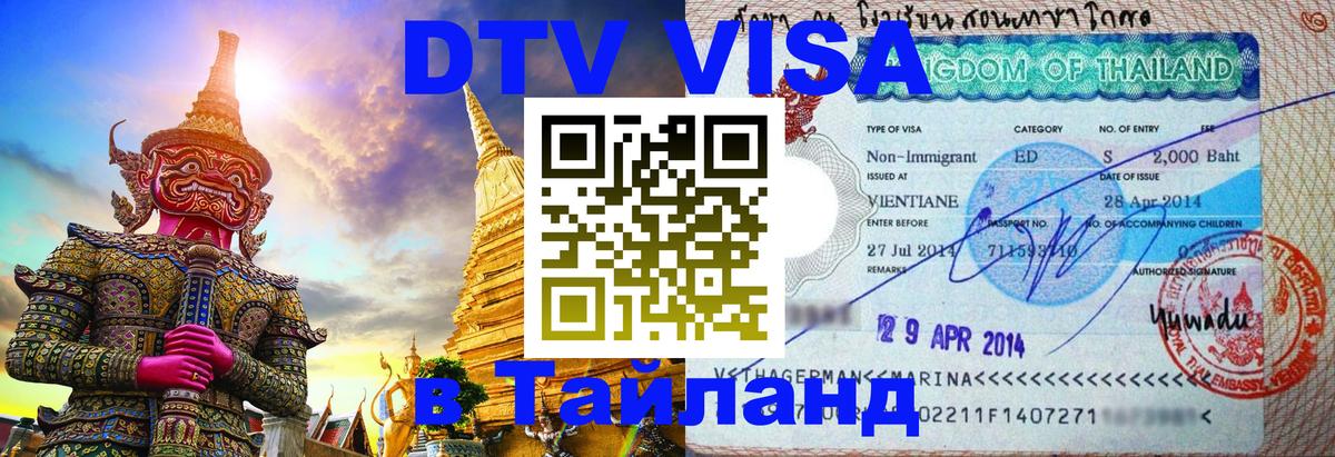 Оформление DTV визы под ключ: стоимость и тарифы, только загранпаспорт - 18.11.2025 